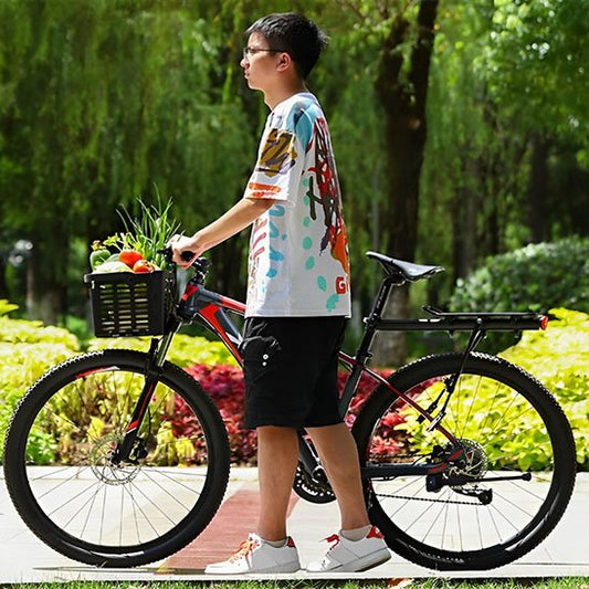 cycliste debout tenant velo devant parc avec panier avant pour velo rempli de fruits et legumes