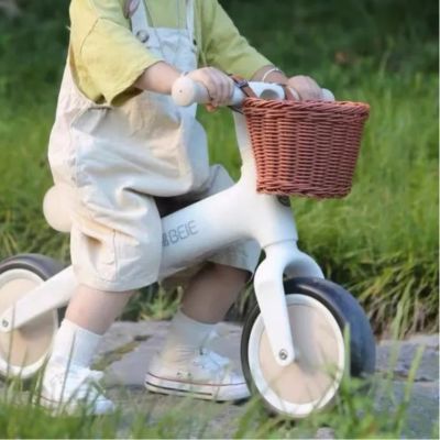 panier pour velo | Deluxe™ - Fitness insolite