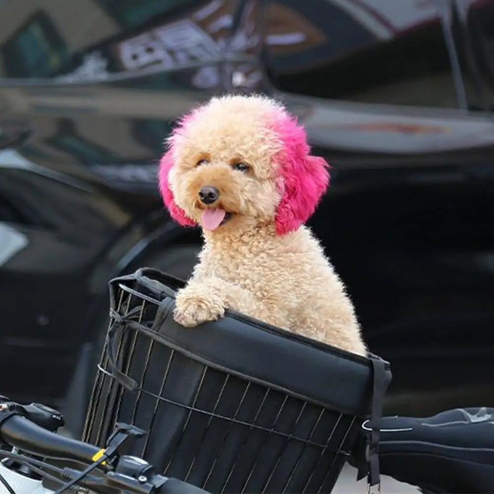 panier velo chien avec attache collier