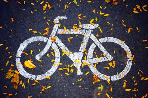 dessin de signalisation blanche velo sur asphalte recouverte feuilles jaunes automne