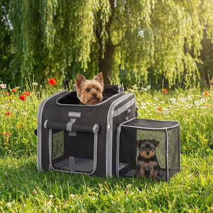 Photo_sac_Panier_velo_pour_chien_dans_parc_ensoleille_avec_Yorkshire_et_son_petit