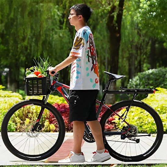 cycliste debout tenant velo devant parc avec panier avant pour velo rempli de fruits et legumes
