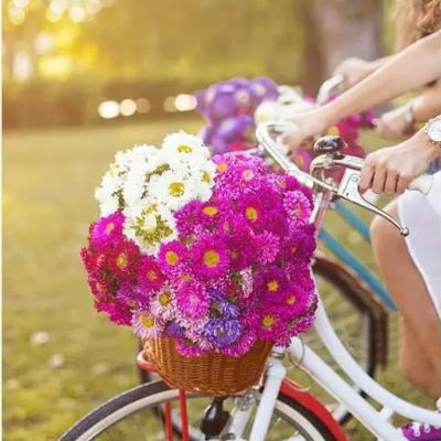 Panier Conventionnel panier velo rotin avec fleurs