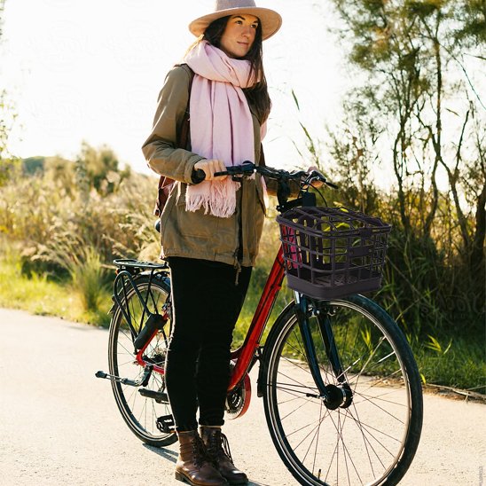 panier pour vélo électrique caisse avec couvercle