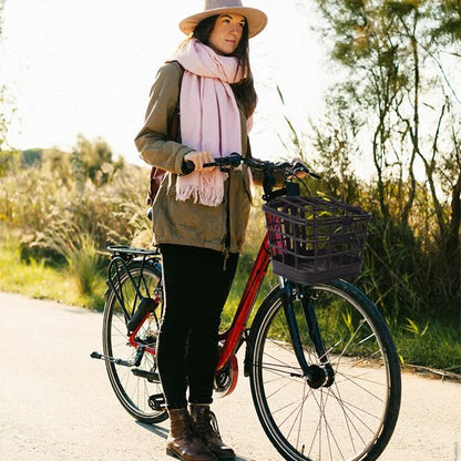 panier pour vélo électrique caisse avec couvercle