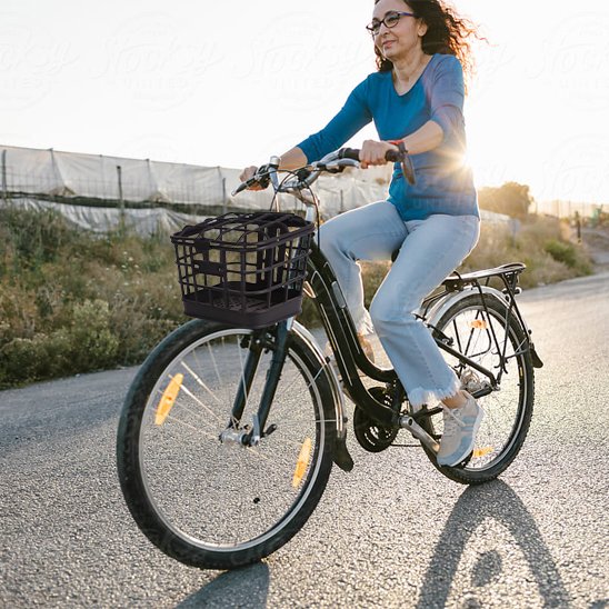 panier pour vélo électrique en pc