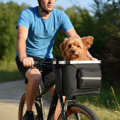 Vélo panier Chien solide