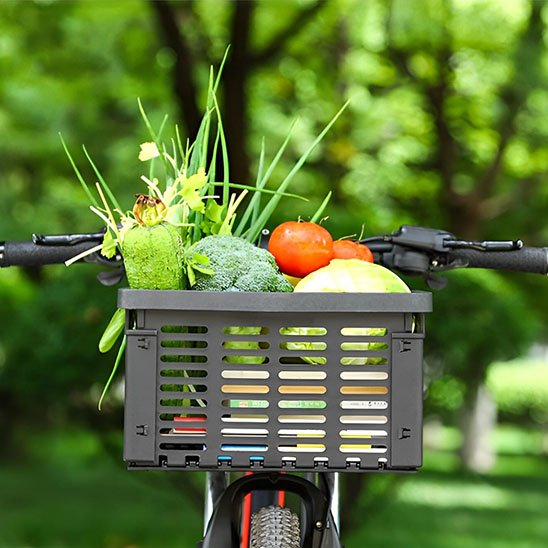 velo vu de face devant verdure de parc contenant panier avant pour velo remplis de fruits et legumes tomates, brocolis, choux et oignons verts sur quelques llivres